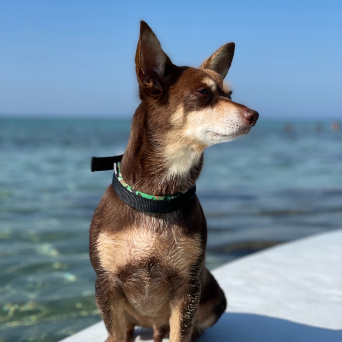 A che bella L’estate 😎