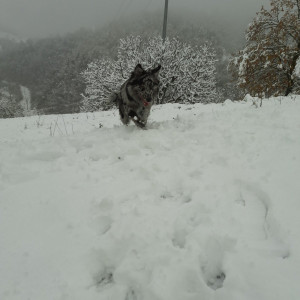 Neve❄️