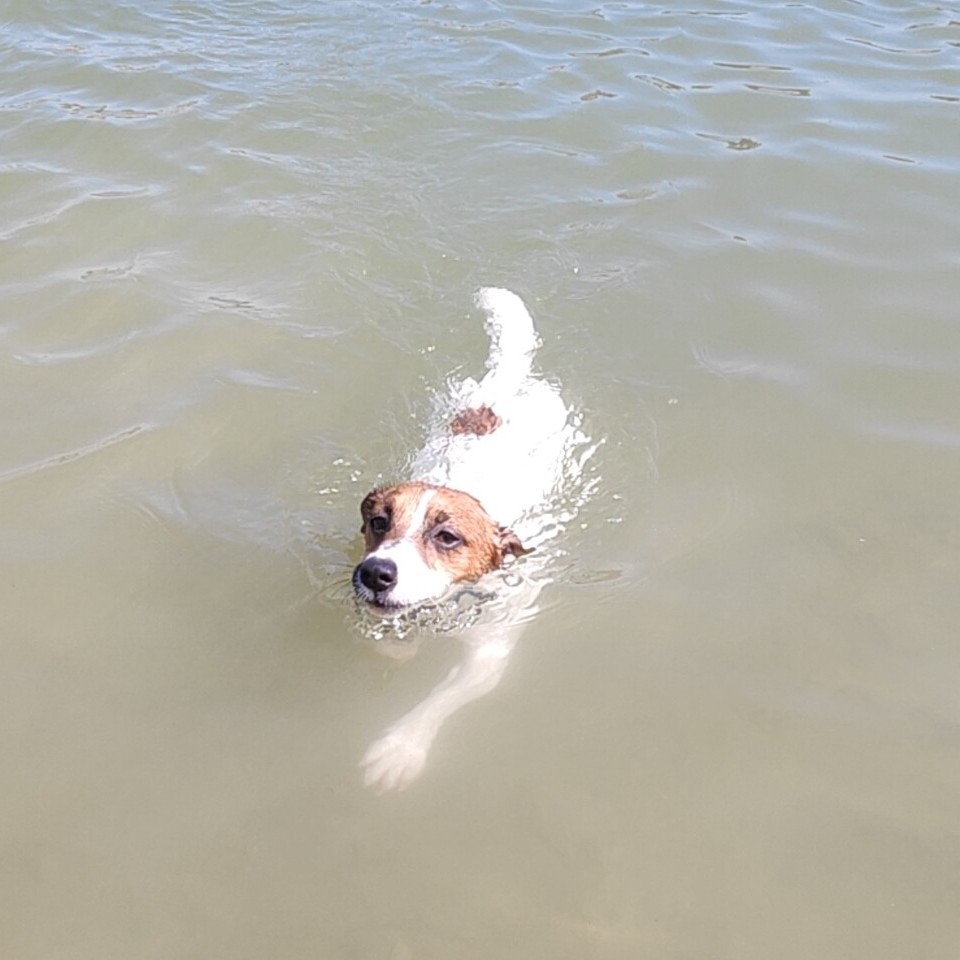 Milo