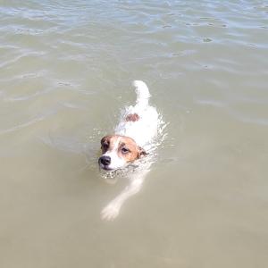 Milo