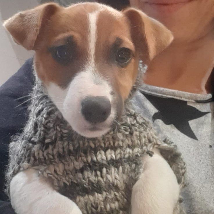 Milo
