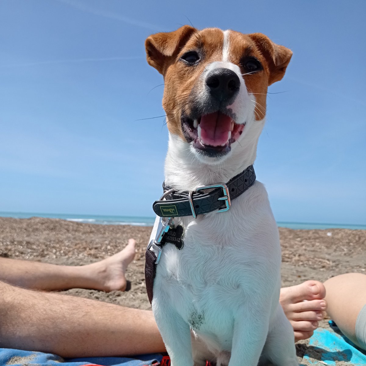 Milo