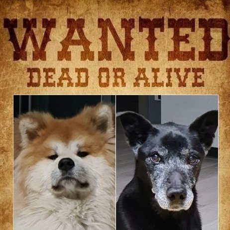 WANTED