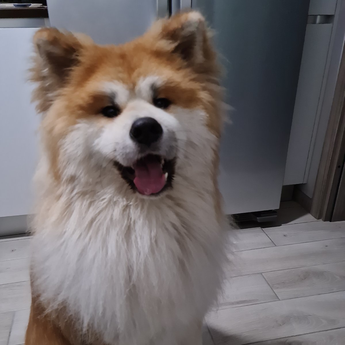 Sorridi sempre