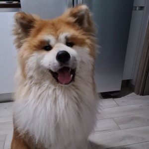 Sorridi sempre