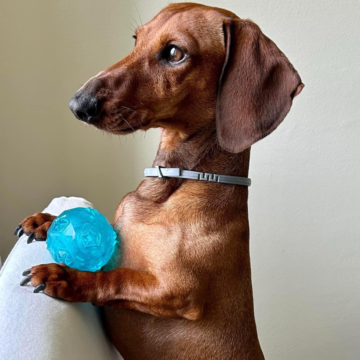 Paco