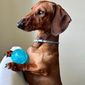 Paco