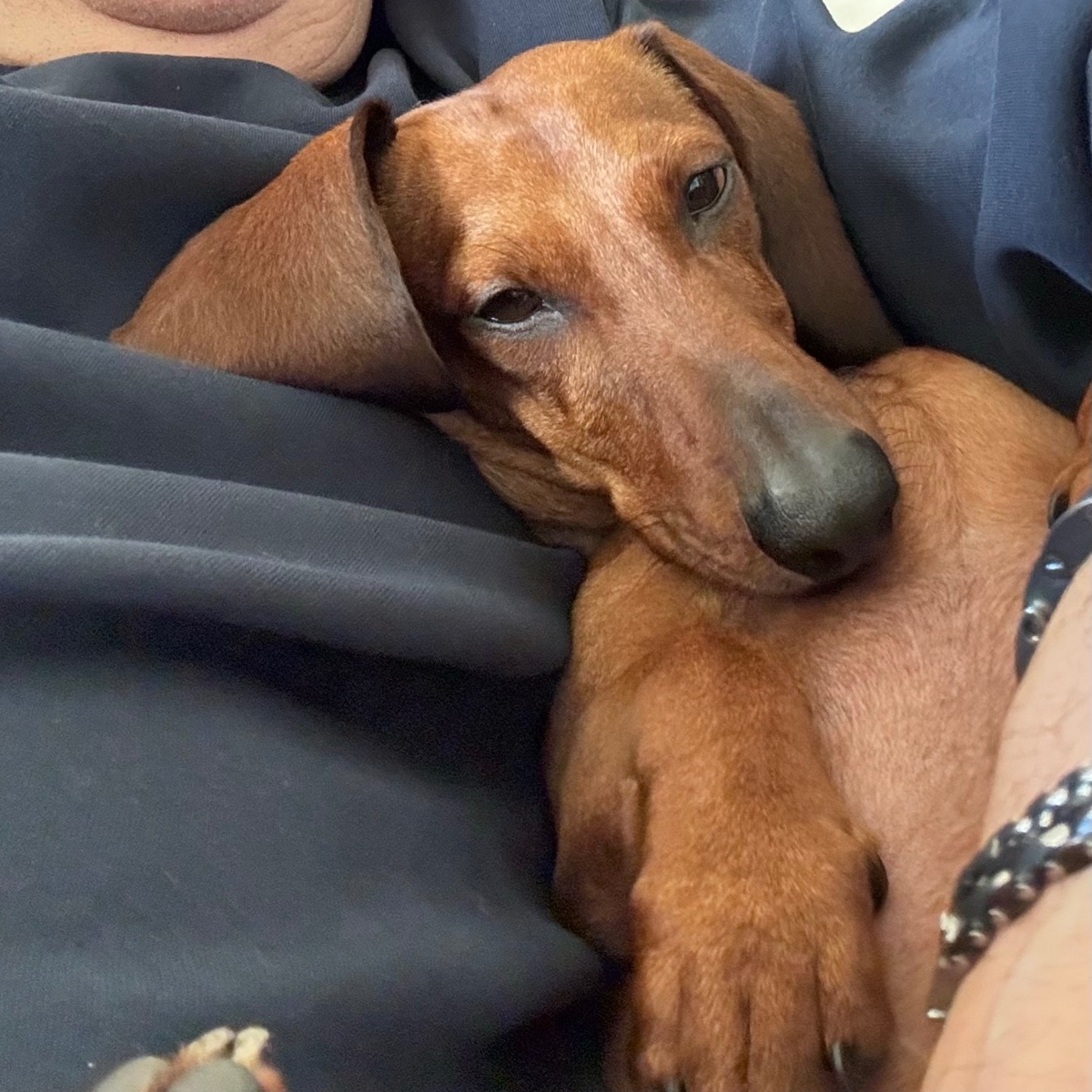 Paco