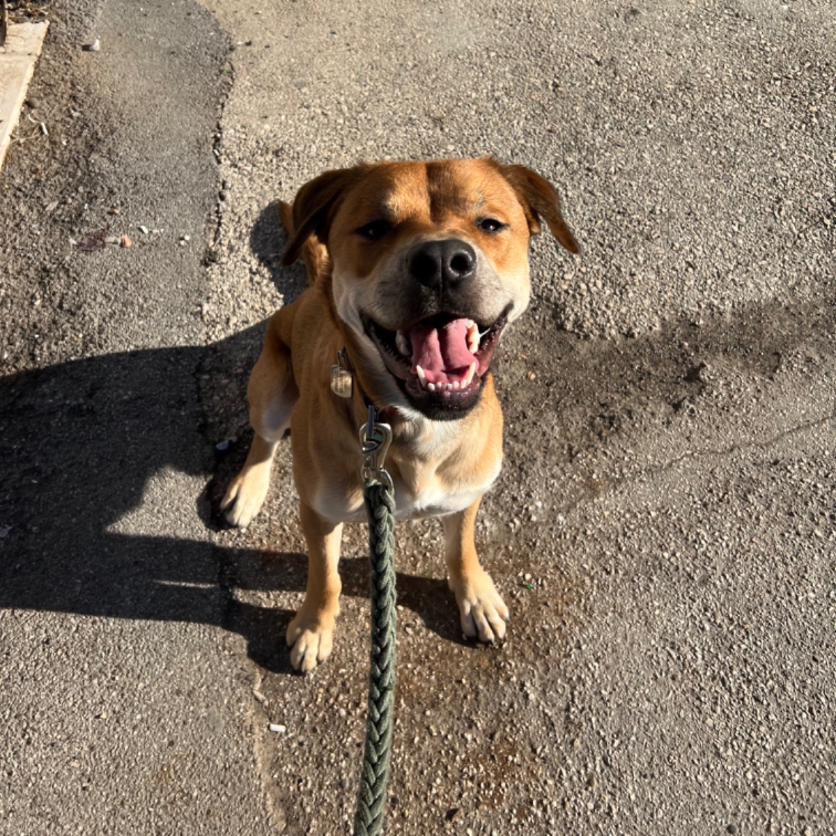 Tyson