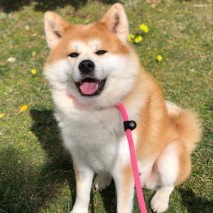 Yoshihime