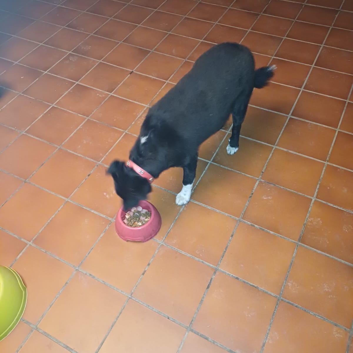 lucy
