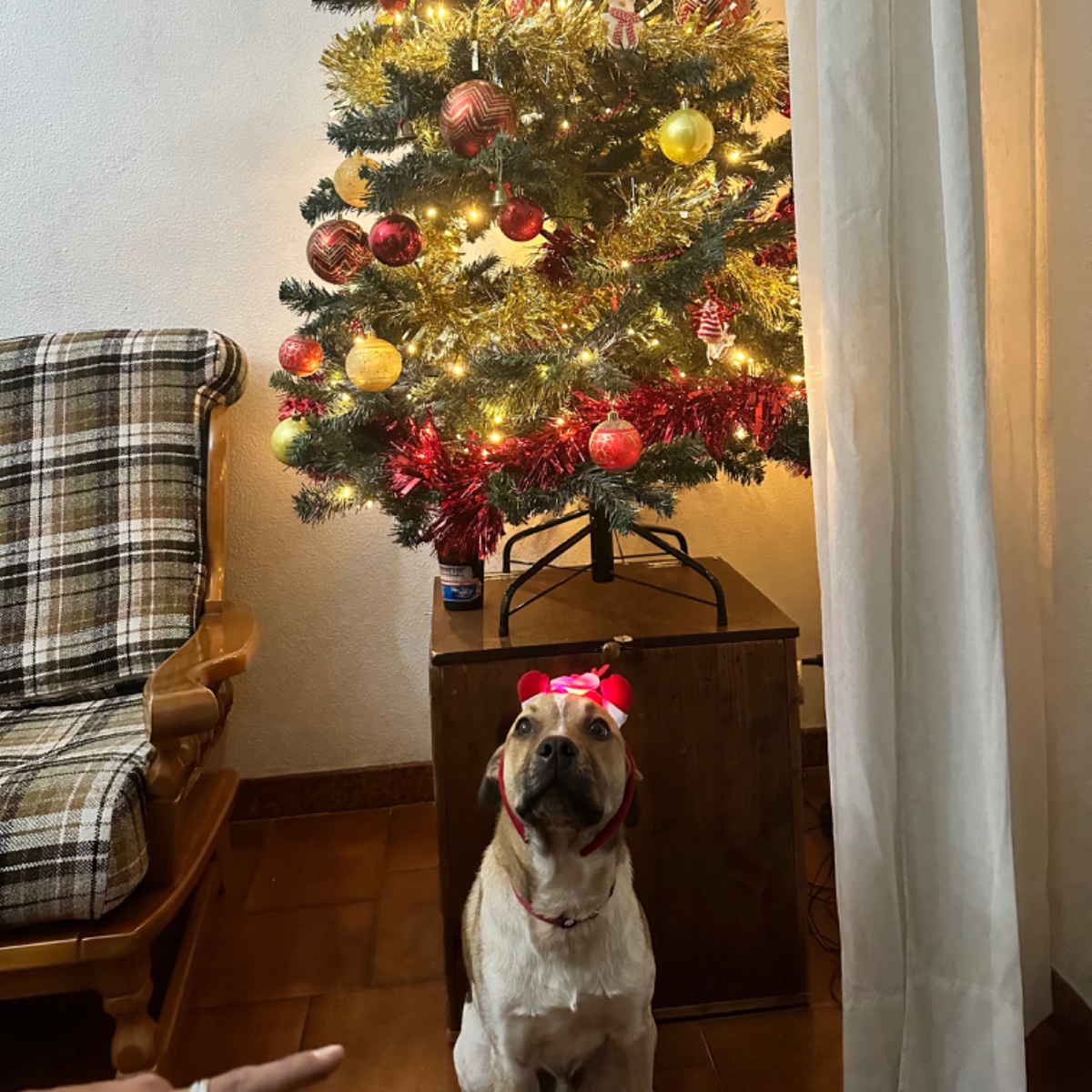 Ciro