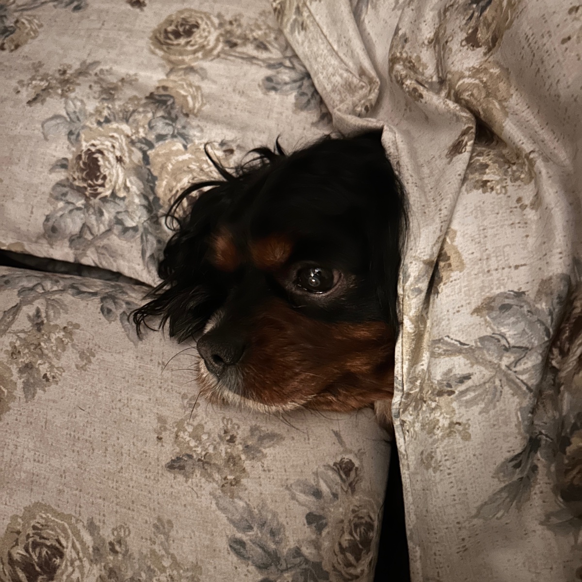 Fuori piove e fa freddo… io resto a letto!😌