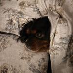 Fuori piove e fa freddo… io resto a letto!😌