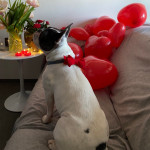 Chupy