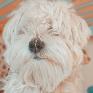 ♡︎ 🧀, 𝔽𝔸ℂℂ𝕀𝔸𝕄𝕆ℂ𝕀 𝕌ℕ 𝕊𝔼𝕃𝔽𝕀𝔼 ♡︎