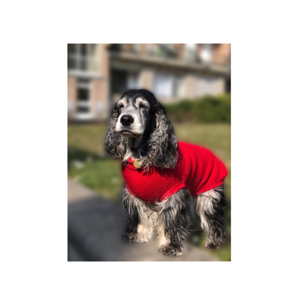 Post