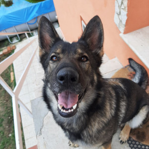 Sorrisoni ne abbiamo 😊😁