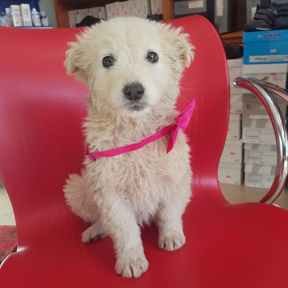 La mia prima foto 📸💕🐾