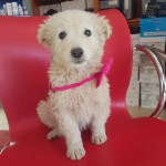 La mia prima foto 📸💕🐾