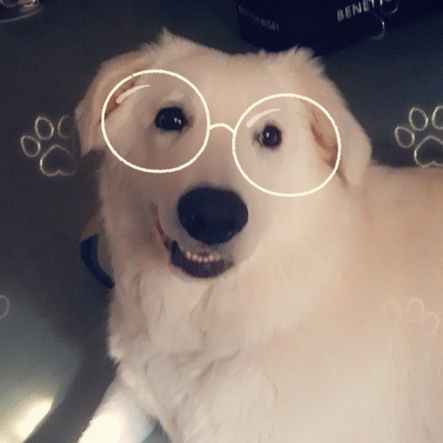 Buon weekend amici 💕🐾