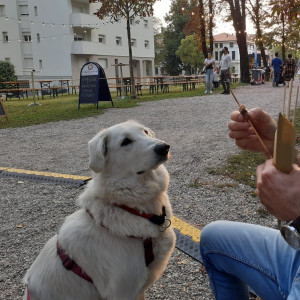 Arrosticini😜😜😜
