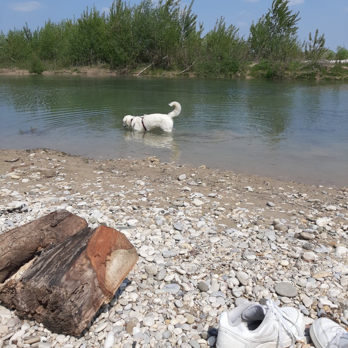 Tutti al Piave!!!β±π
