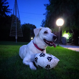 Luna