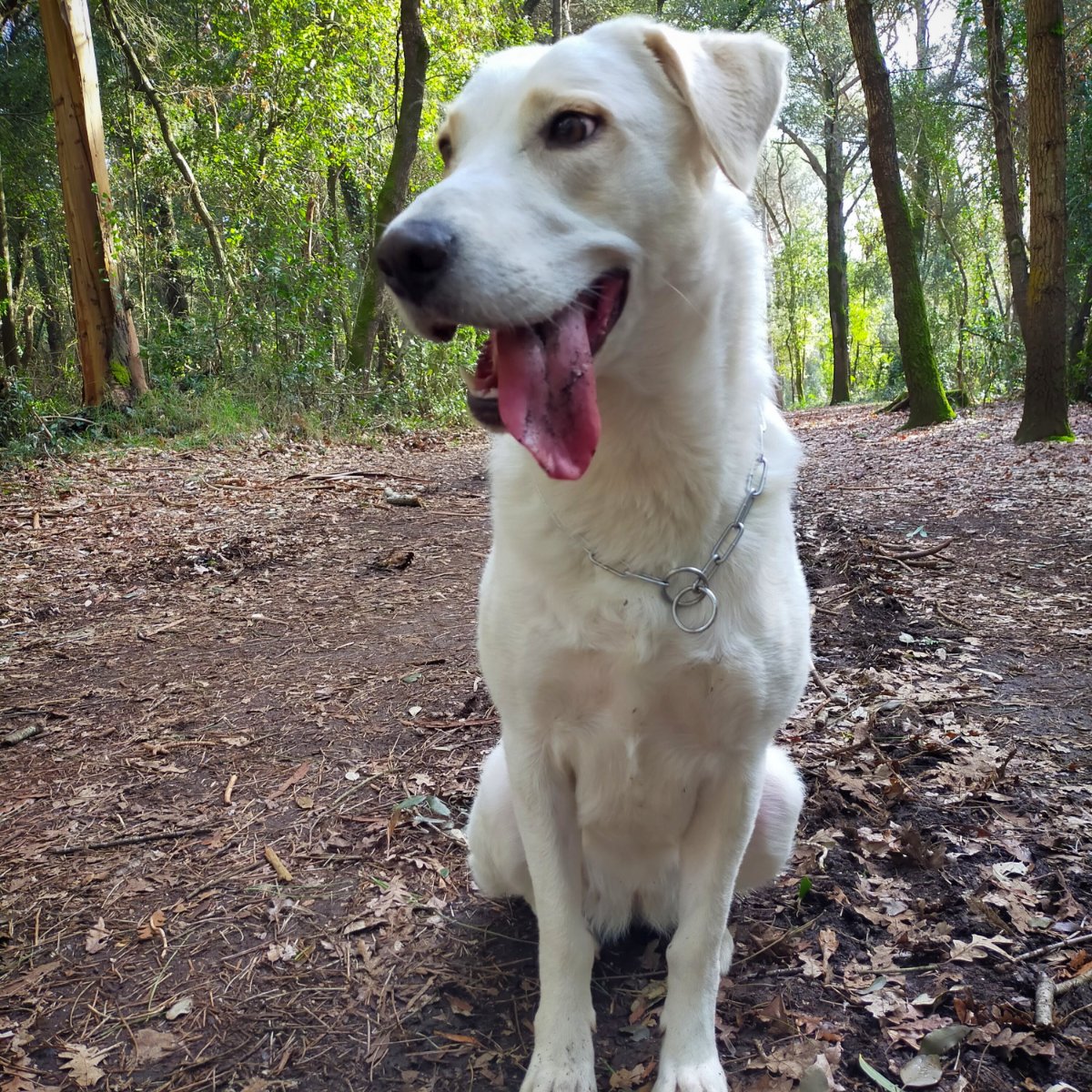 Luna