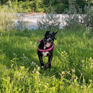 È proprio bello correre nell’erba