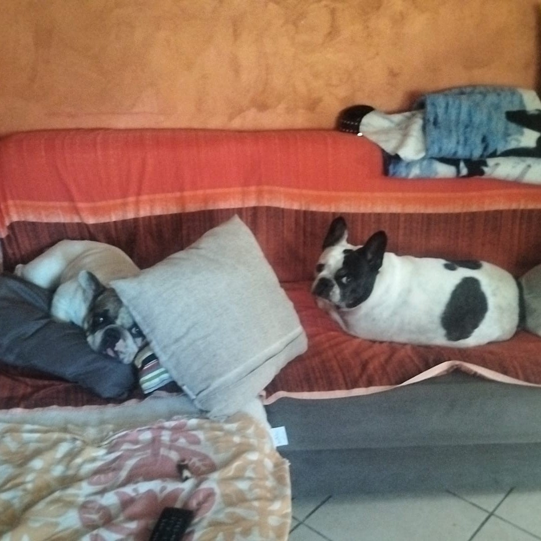 i padroni di casa