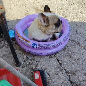 tusson in '' piscina''😂