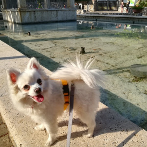 Milo