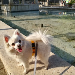 Milo