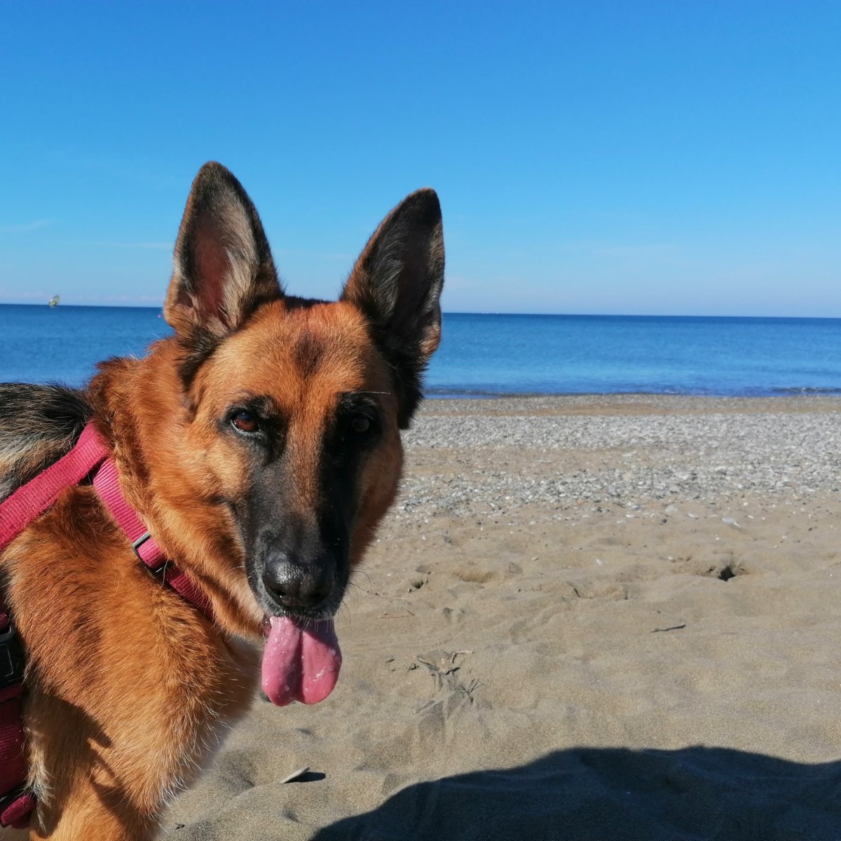 A festeggiare i 49anni di mamma...al mare io e lei.