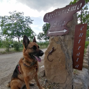 Weekend in agriturismo...