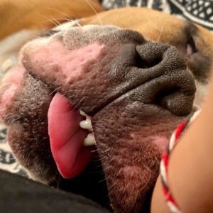 Io amo dormire