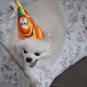 Yuki