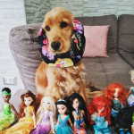 Diva