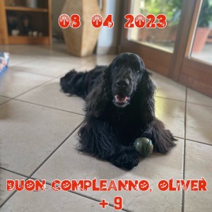 Oliver