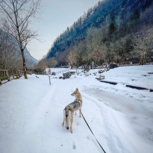 Giornata sulla neve