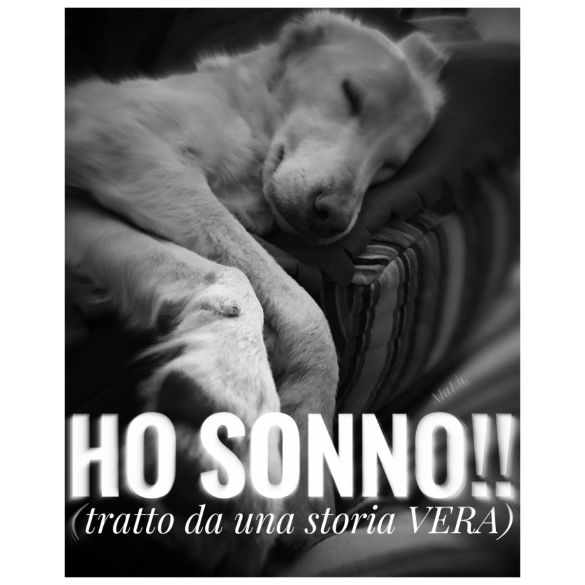 ΜαᏓù.