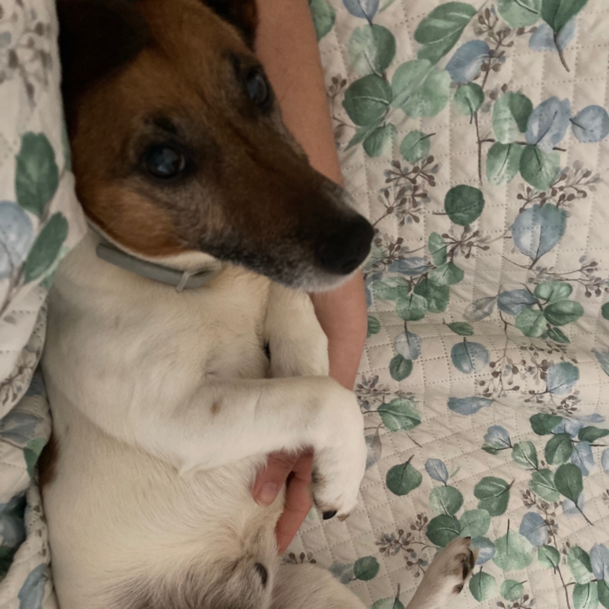 Coccole sul lettone con mammy 😍