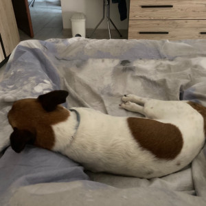 Zzzzzz