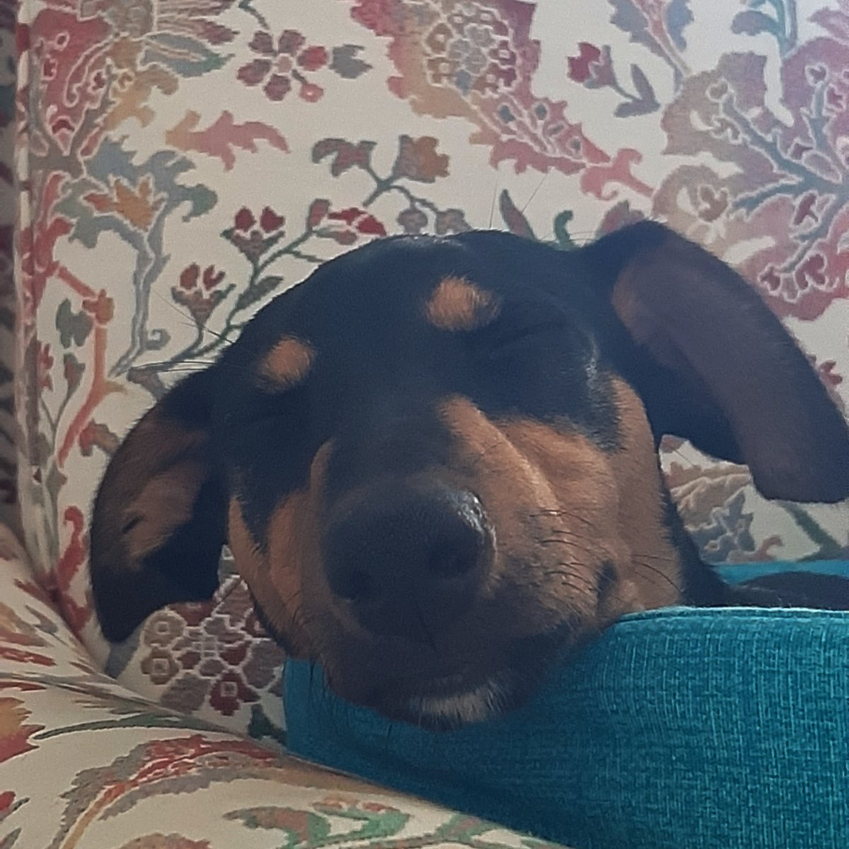 Otto