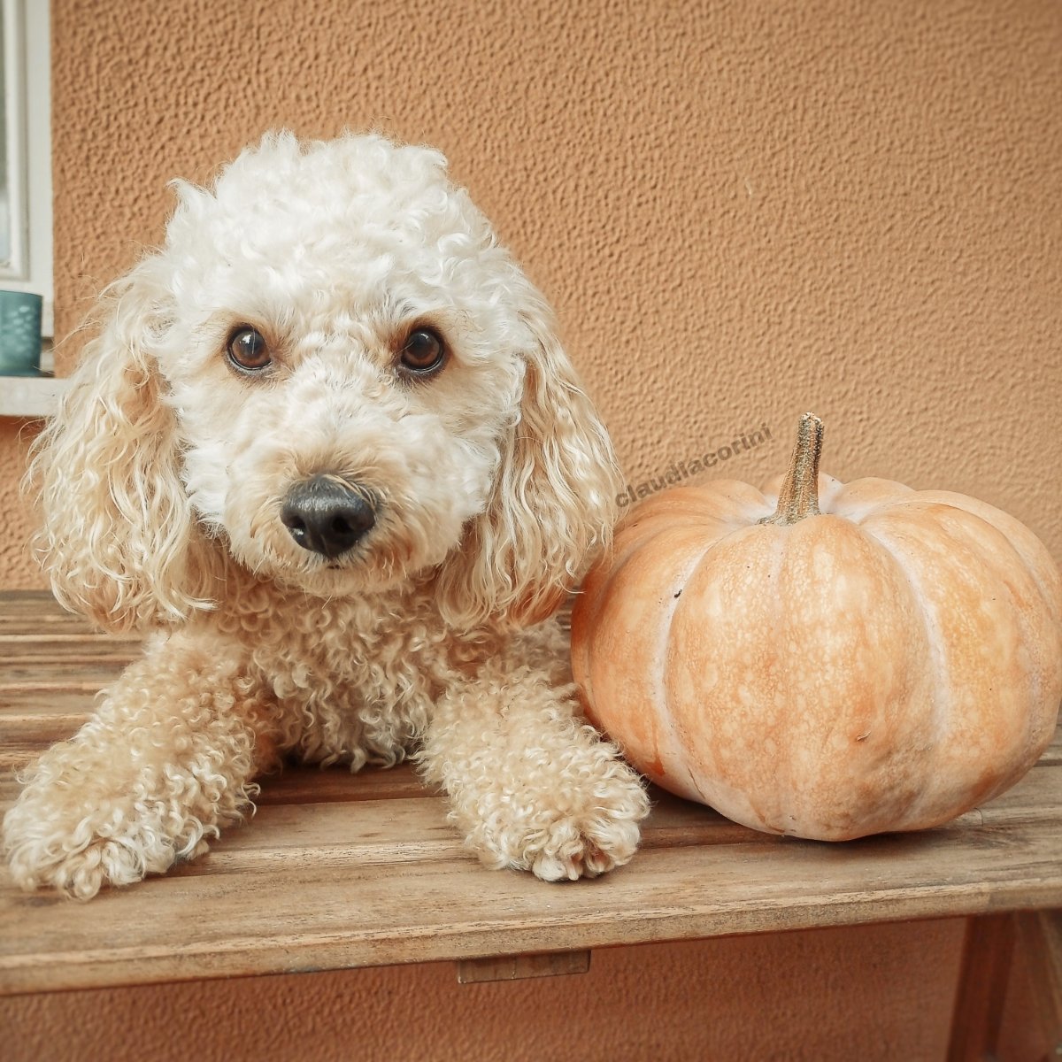 October 🎃🍂