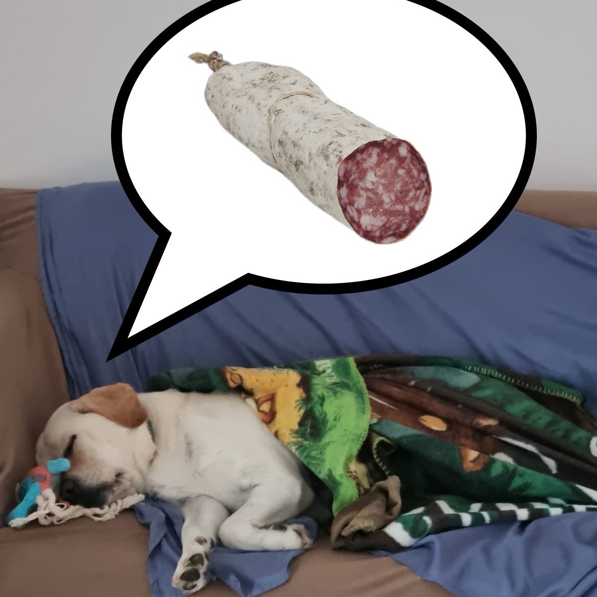 FURTO DI SALAME