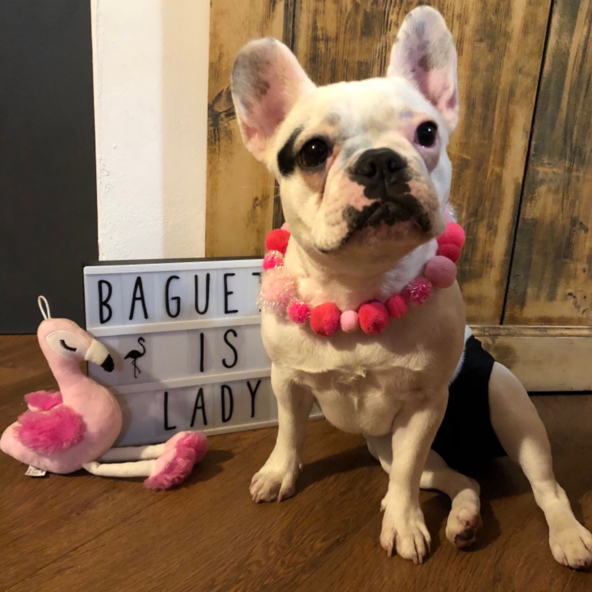 Baguette