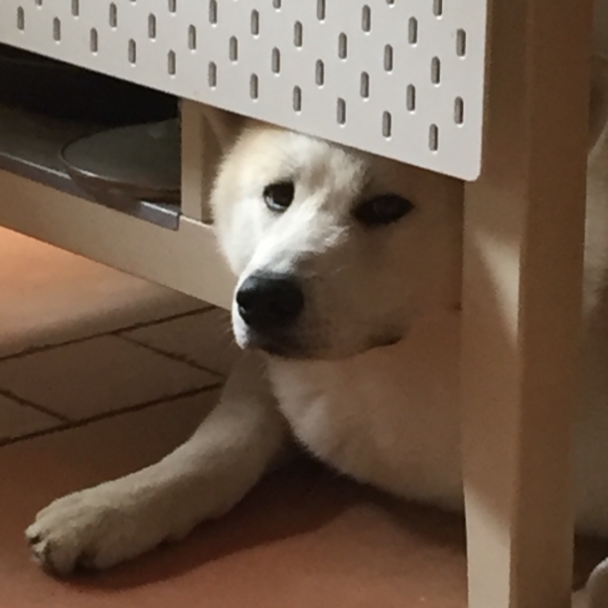 Hiro