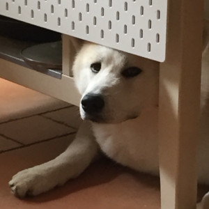 Hiro
